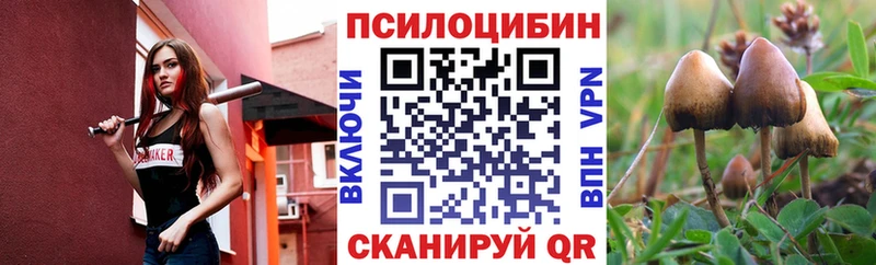 Купить закладки  Белинский  Галлюциногенные грибы GOLDEN TEACHER 