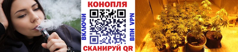 Конопля Amnesia  Купить  Белинский 